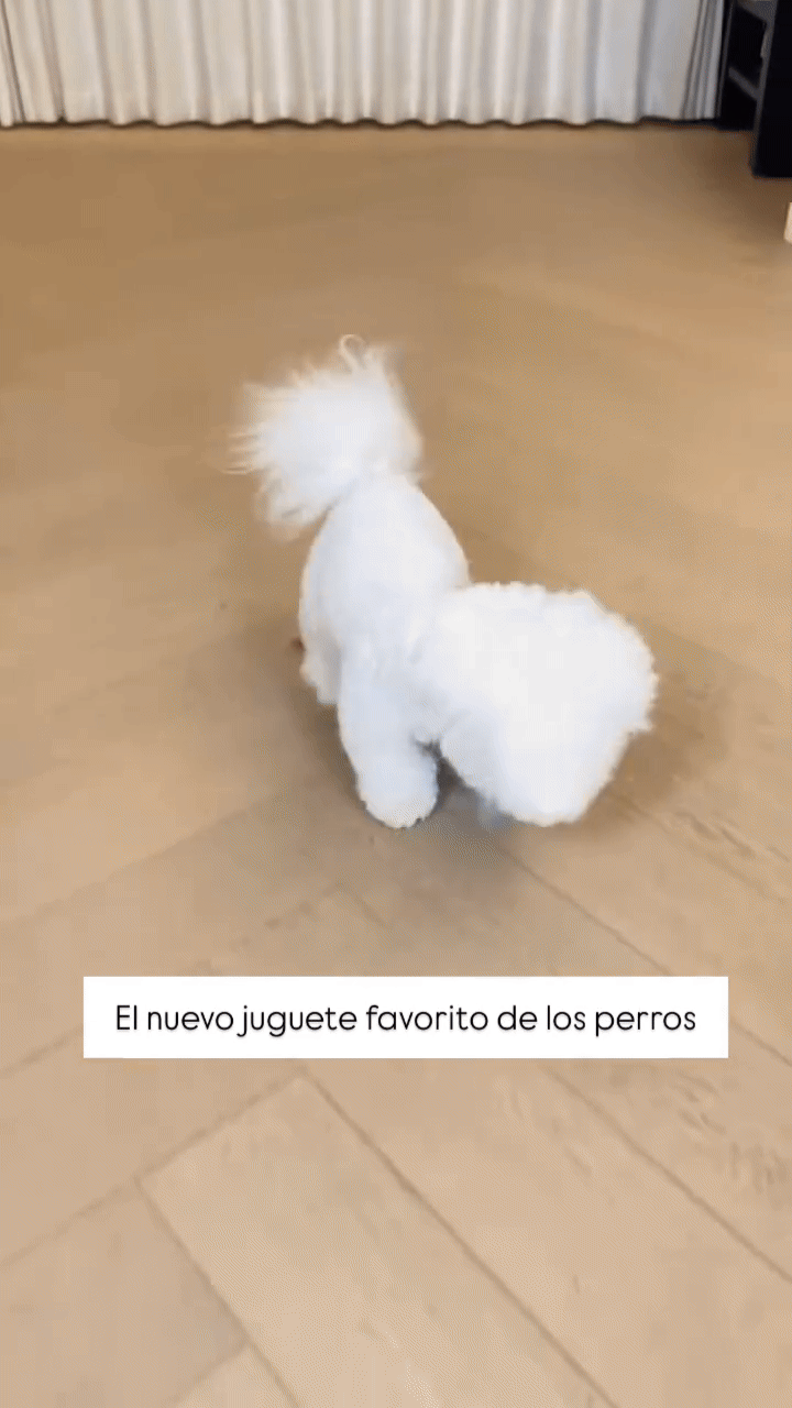 Smart Ball for Dogs and Cats | Interactive Toy with Automatic Movement