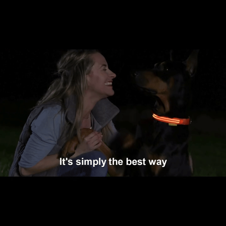 LED Light Up Dog Collar – Rechargeable, Night Safety for Small & Large Dogs” Formypets