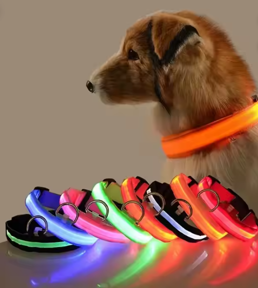 LED Light Up Dog Collar – Rechargeable, Night Safety for Small & Large Dogs” Formypets