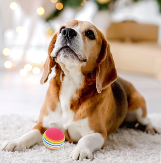 Interactive Pet Toy Balls – Soft EVA for Cats & Dogs