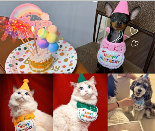 Pet Birthday Hat & Scarf Set – Adjustable Party Supplies