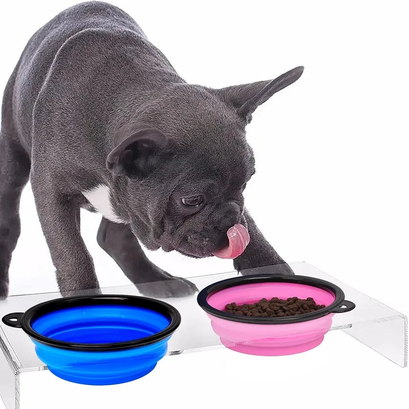 Portable Dog & Cat Bowl – 2-in-1 Travel Feeder