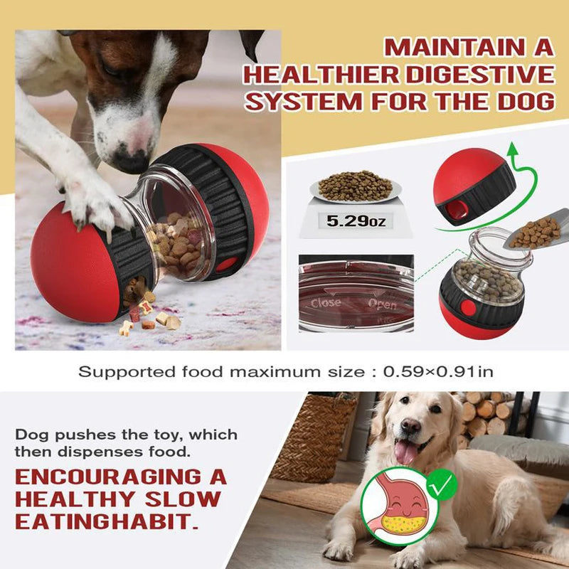 Pet Training Toy – Slow Feeder for Puppies & Cats