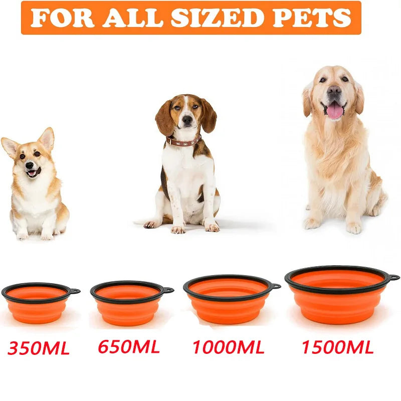 Portable Dog & Cat Bowl – 2-in-1 Travel Feeder