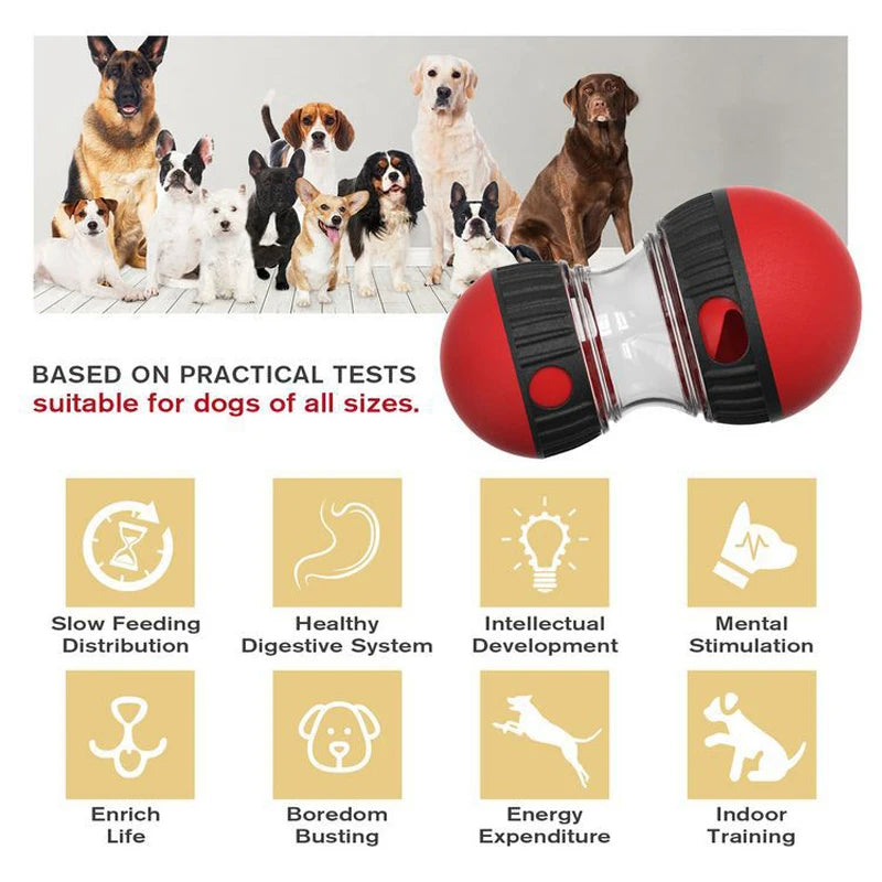Pet Training Toy – Slow Feeder for Puppies & Cats