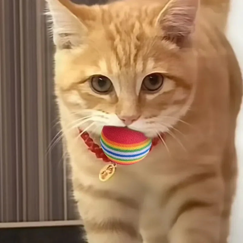 Interactive Pet Toy Balls – Soft EVA for Cats & Dogs