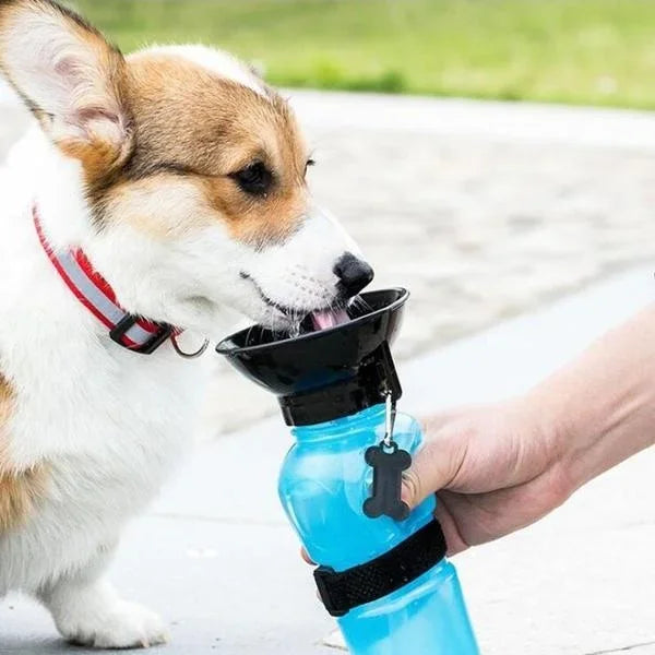 Portable Pet Water Cup – Large Dog Outdoor Bottle