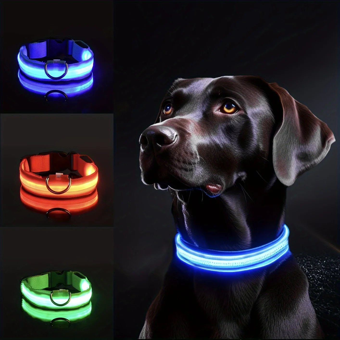 LED Light Up Dog Collar – Rechargeable, Night Safety for Small & Large Dogs” Formypets