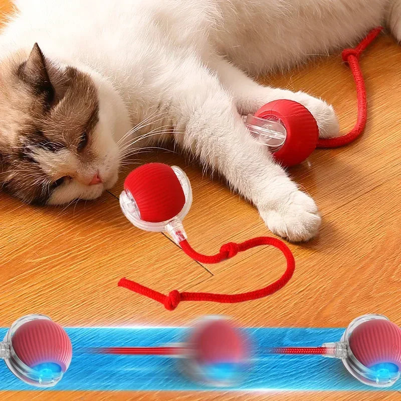 Smart Ball for Dogs and Cats | Interactive Toy with Automatic Movement