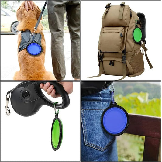 Portable Dog & Cat Bowl – 2-in-1 Travel Feeder